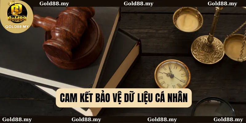 Điều Khoản Sử Dụng 2 Cam kết bảo vệ dữ liệu cá nhân