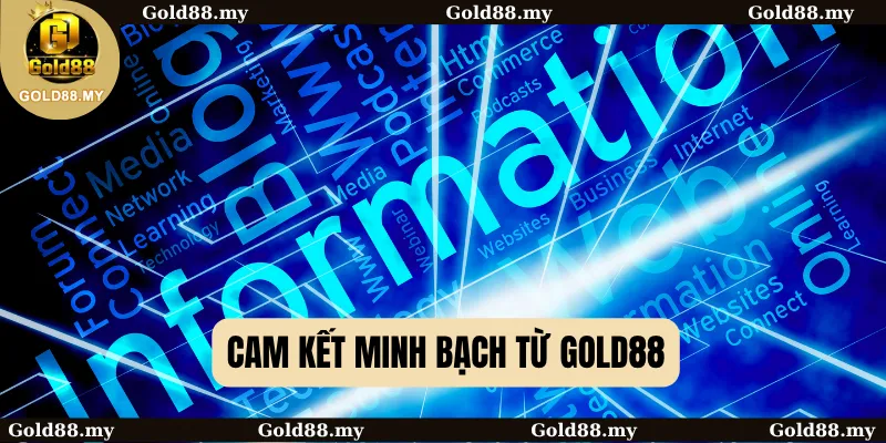 Câu Hỏi Thường Gặp 3 Cam kết minh bạch từ GOLD88