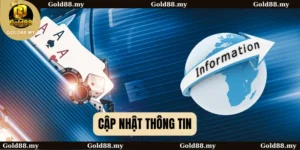 cập nhật thông tin