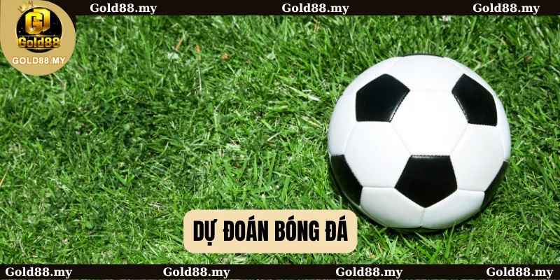 Dự Đoán Bóng Đá Chi Tiết: Lợi Thế Quyết Định Trên Sân Cỏ 1 dự đoán bóng đá