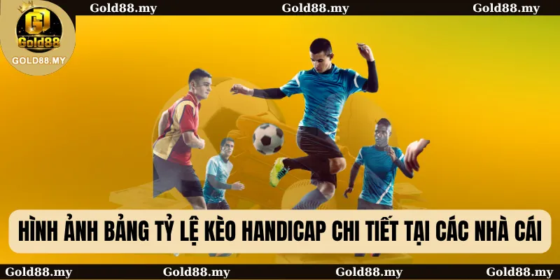 Kèo Handicap: Hướng Dẫn Chi Tiết Dành Cho Bet Thủ 2025 3 Hình ảnh bảng tỷ lệ Kèo Handicap chi tiết tại các nhà cái